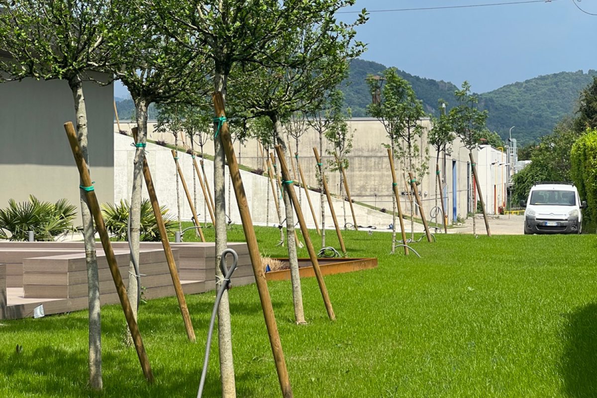 Greentek_Creazione_Giardini_20