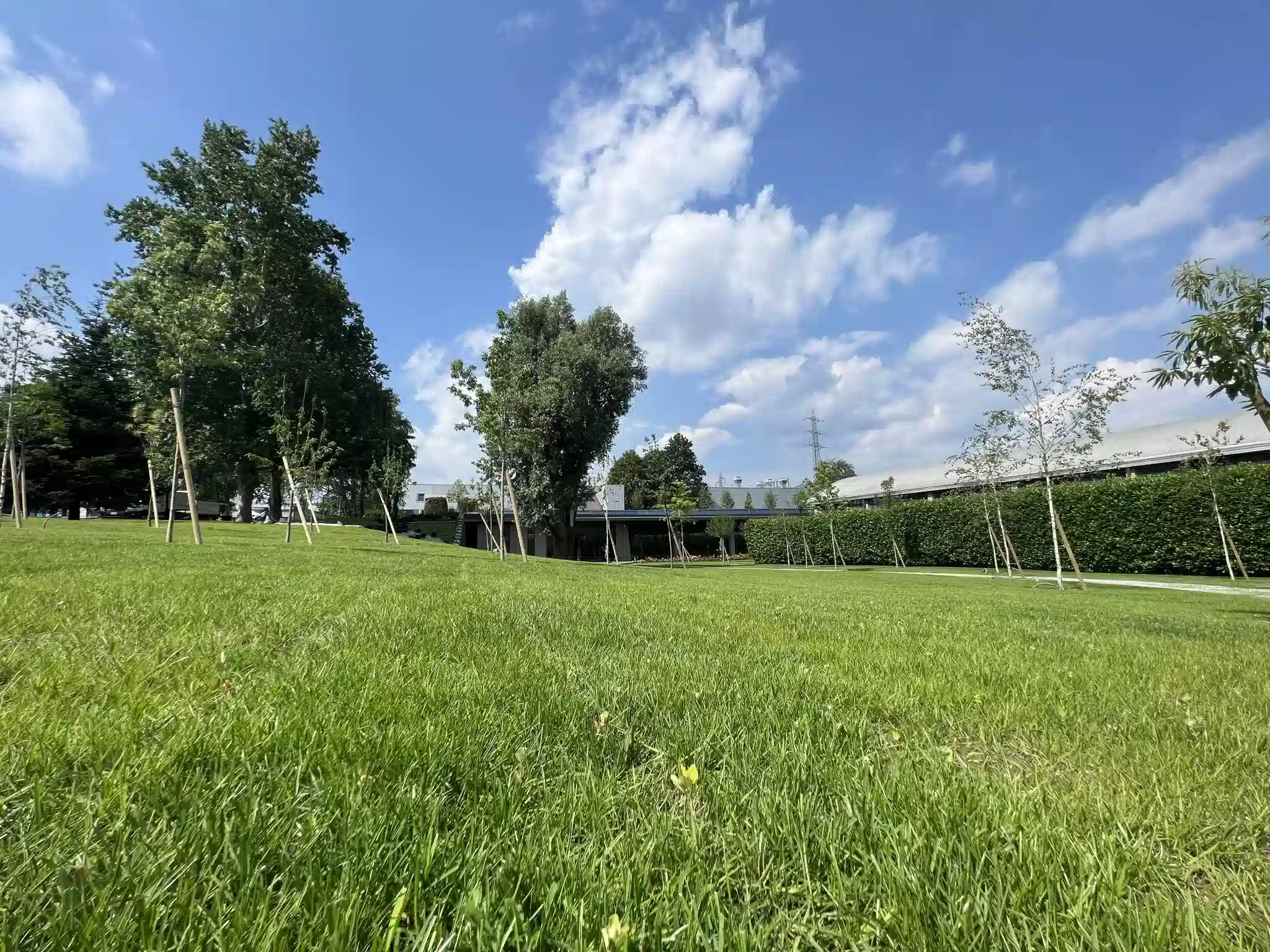 giardinieri giardinieri